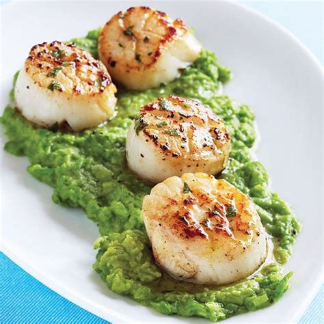 This rich pasta dish is full of sweet seared scallops and plump peas. Seared Scallops with Mint Vinaigrette & Green Pea Purée ...