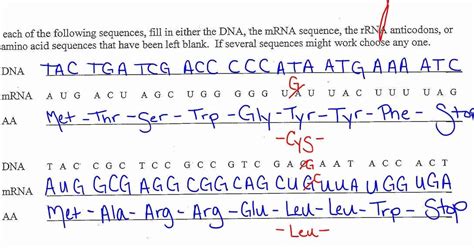 Worksheets are biology 3 transcription translation and mutations, genetics work biology with answers, fundamentals nucleic acids dna replication, molecular genetics, dna rna replication translation and transcription, tcss biology unit 2 genetics information. 46 Transcription and Translation Practice Worksheet ...