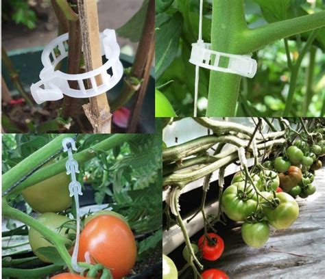Hydroponic Greenhouse Farming Tomato Stem Hook Plastic Fixing Clips