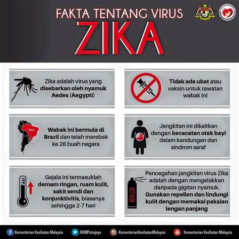Gejala flu melibatkan nyeri otot apa apakah berbagai jenis flu? Apa Itu Virus Zika ? | Arnamee blogspot