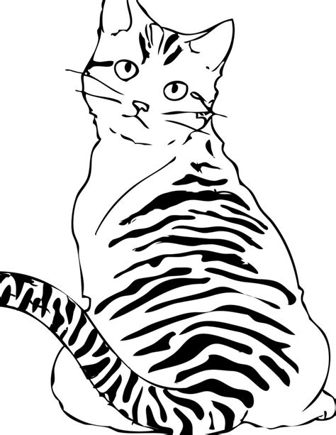 Cats Coloring Pages for Kids – Animal Place