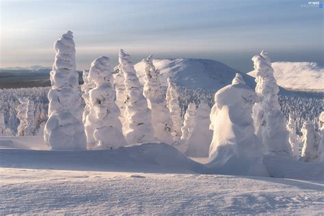 Forest Snow Trees Mountains Winter Snowy Viewes Nice Wallpapers