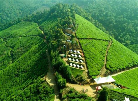17 Best Things To Do In Kerala 2020 Experiences In Kerala