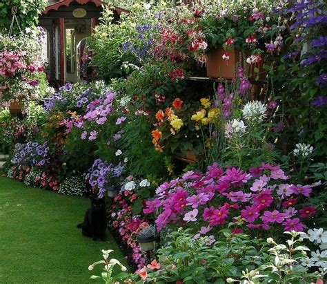 cottage garden eine der beliebtesten gartenformen