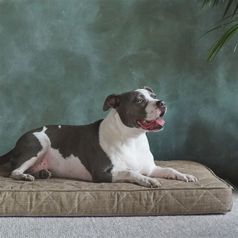 Orthopedic Pet Bed Waterproof Dog Bed Brentwood Home