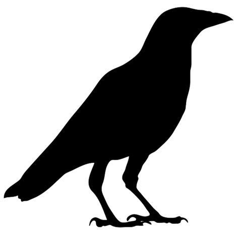Crow Clip Art Clipart Best