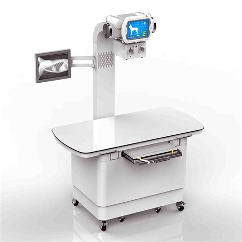 Veterinary X Ray 300ma 500ma Fixed Medical X Ray Equipment Digital Xray