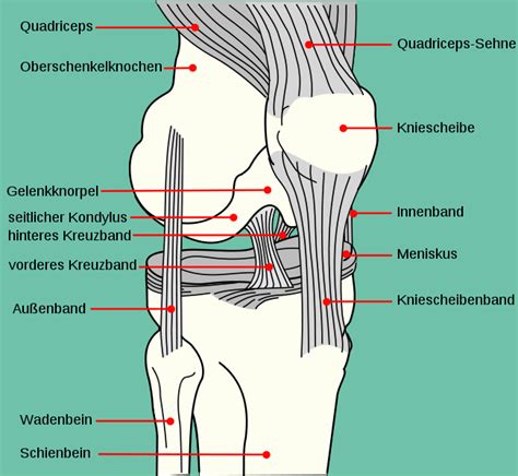 Wann ist ein kreuzbandriss konservativ zu therapieren? Wann muss ein Kreuzbandriss operiert werden? Alternativen?