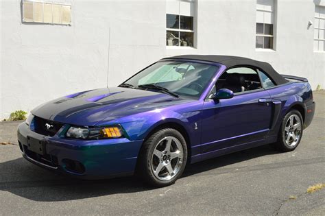 2004 Ford Mustang Cobra Mutual Enterprises Inc