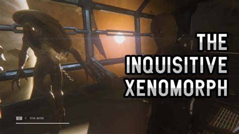 Alien Isolation The Inquisitive Xenomorph Youtube