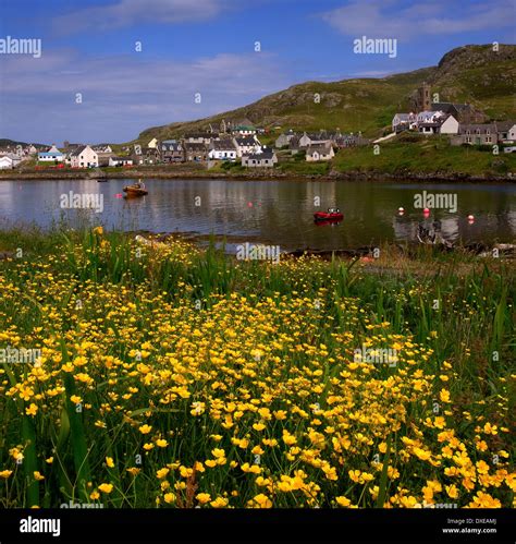 Colourful Scene In Castlebay Isle Of Barra Outer Hebrides Stock Photo