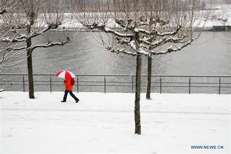Scenery Of Snowfall In Frankfurt Germany World News Sina English