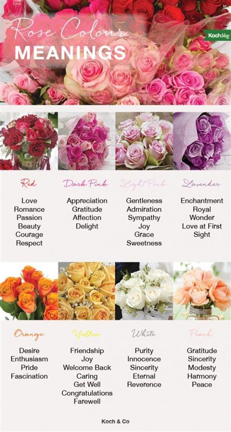 Sympathy Flower Color Meanings The 12 Secrets You Will Never Know About