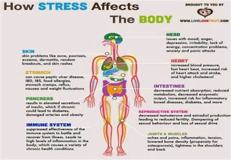 Chronic Stress How It Affects You And How To Get Relief Betterhelp