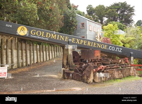 Thames New Zealand Hauraki Prospectors Association Gold Mine And