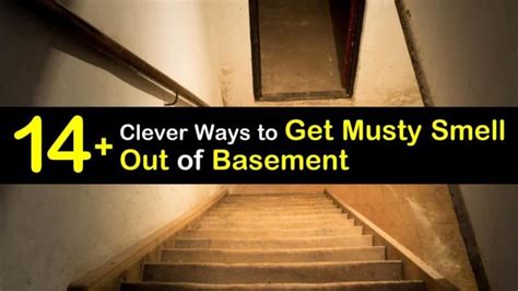 How To Get Musty Smell Out Of Basement