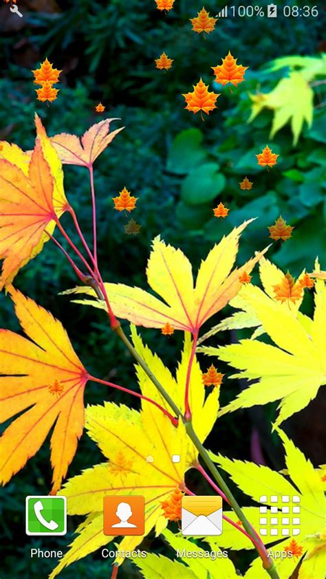 Wow 25+ Wallpaper Bergerak Daun Jatuh - Richa Wallpaper