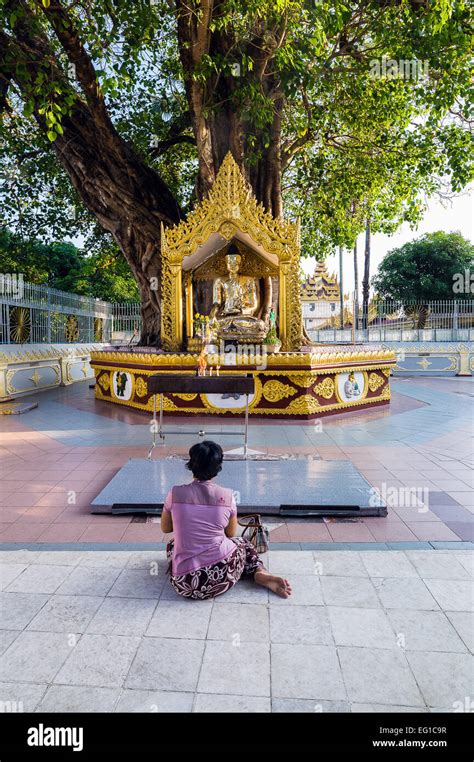 Myanmar Yangon Religious In Prayer In The Swedagon Pagoda Stock Photo