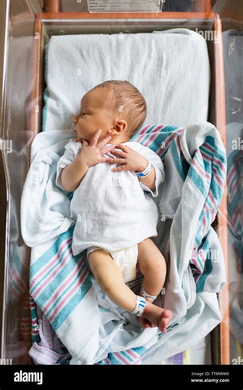 Overhead View Of Newborn Baby Boy In Hospital Bassinet Stock Photo Alamy