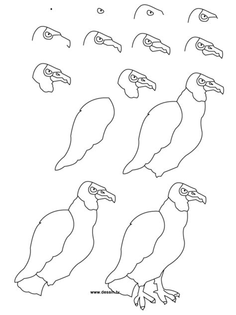 How to draw a chicken step by step from word | easy and creative chicken drawing ideas for kids. How To Draw Easy Animals Step By Step Image Guide