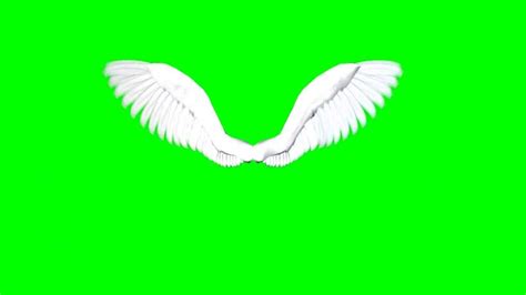Baby angel wings svg free. Angel Wings - free green screen 1 - YouTube