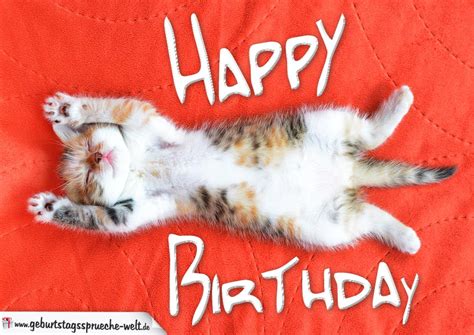 Lustige bilder von mädchen ohne inschriften. Happy Birthday Karte mit schlafender Katze