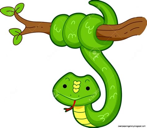 Rainforest Clipart For Kids Free Download On Clipartmag
