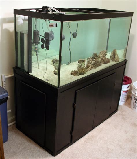 120 Gallon Saltwater Aquarium Tyler Merrick