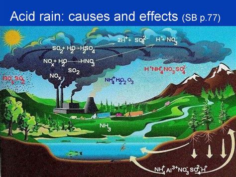 What Are The Causes And Effects Of Acid Rain Acid Rain Definition