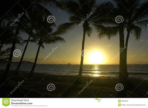 Sunrise On A Tropical Beach Stock Photo Image Of Sunrise Green 5694304