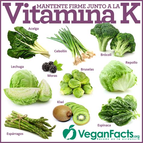 Coagulación y salud ósea Existen dos tipos de Vitamina K K1