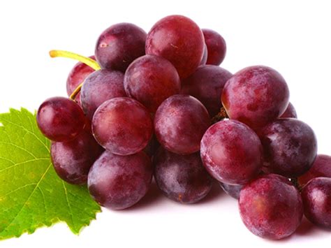 However, green grapes do contain an array of other polyphenols and may have a different mix of other types. romano recommends keeping grapes unwashed until ready to eat and then rinsing them before serving. Calories Red Seedless Grapes - Budapestsightseeing.org