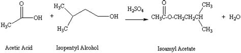Isopentanol And Acetic Acid