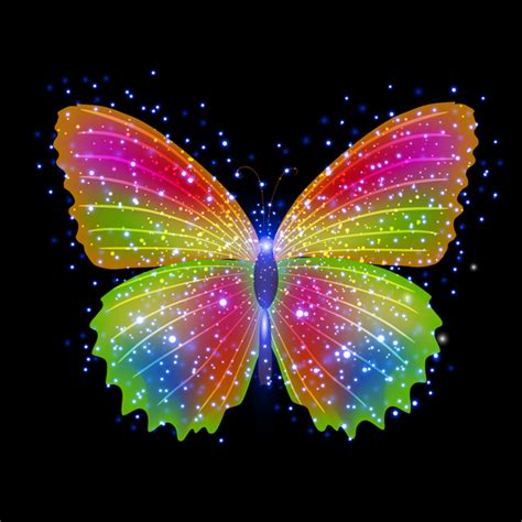 Colorful Butterfly Background Vector Vectors Graphic Art Designs In