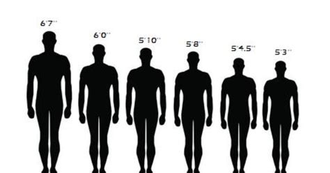 What Height Is More Attractive On A Guy 6ft 6ft 3 Or 6ft 6