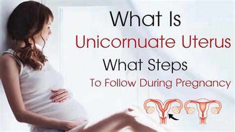What Is Unicornuate Uterus What Steps To Follow During Pregnancy Dr