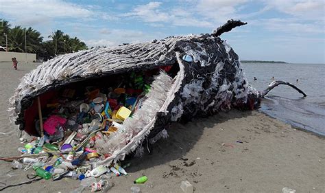 Greenpeace Philippines Dead Whale Wins Awards