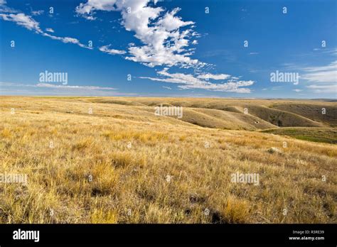 Canada Saskatchewan Grasslands National Park Grasslands Landscape
