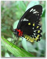 Download and use 100,000+ living room stock photos for free. Living things