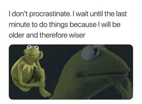 I Dont Procrastinate I Wait Until The Last Minute To Do Things