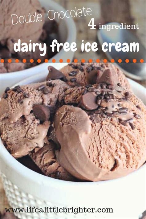 Dairy Free Chocolate Ice Cream Recipe Easy Food Recipes