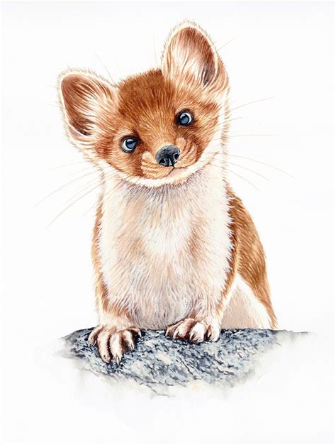 A Drawing Of A Small Brown And White Animal With Blue Eyes Sitting On