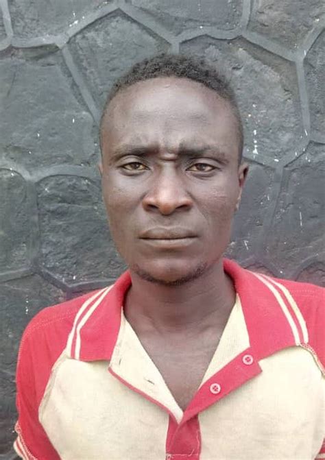 police arrest 26 year old man for defiling four year old girl in adamawa naijajoy