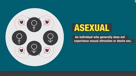 Pansexual Definition Cultural Context And More