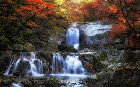 Sfondi 2200x1375 Px Colorato Autunno Foresta Paesaggio Le Foglie