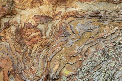 Sandstone Rock Texture 1 Photograph By John Brueske Fine Art America
