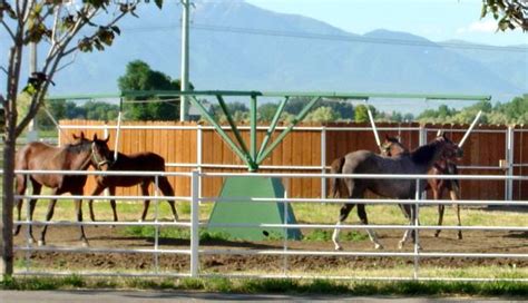 Horse Walker for Sale for Sale in Paris, Kentucky Classified