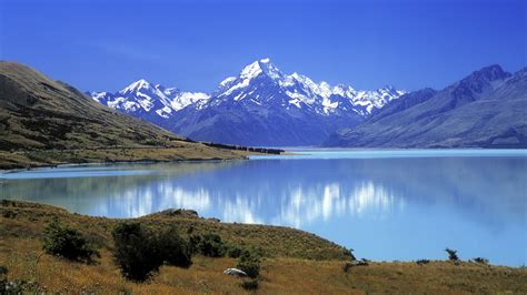 Lake Snow Capped Mountains Green Grass Reflection Relax Wallpapers And Images Wallpapers