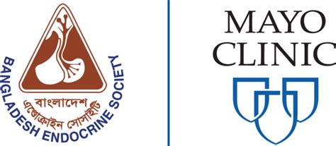 Mayo Clinic Logo Png Download Free Png Images