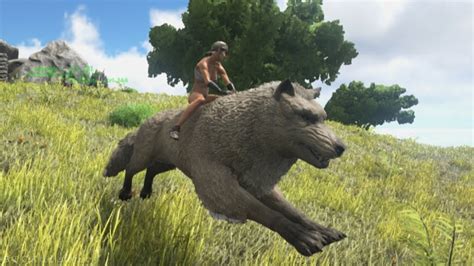 Ark Survival Evolved Taming Dire Wolf Youtube